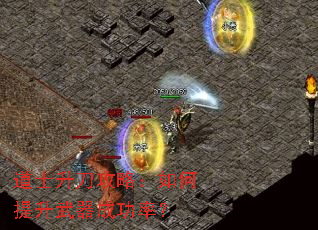 ��ʿ�������ԣ�������������ɹ��ʣ�