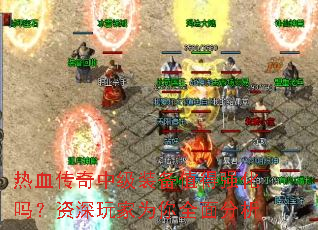 ��Ѫ�����м�װ��ֵ��ǿ�����������Ϊ��ȫ�����