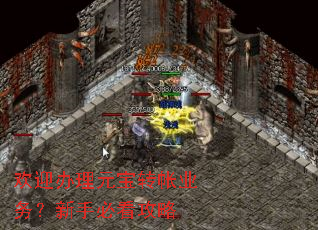 欢迎办理元宝转帐业务?新手必看攻略 欢迎办理元宝转帐业务?新手必看攻略