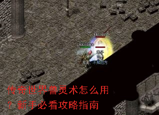 传奇世界兽灵术怎么用?新手必看攻略指南 传奇世界兽灵术怎么用?新手必看攻略指南