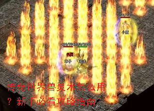 传奇世界兽灵术怎么用?新手必看攻略指南 传奇世界兽灵术怎么用?新手必看攻略指南