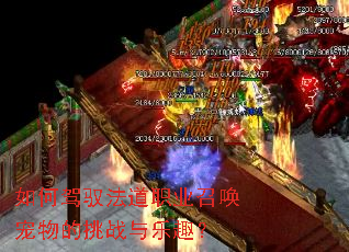 ��μ�Ԧ����ְҵ�ٻ��������ս����Ȥ��