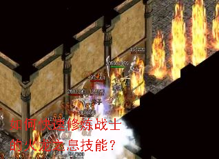 ��ο�������սʿ�Ļ���֮Ϣ���ܣ�