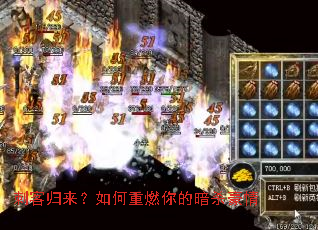 �̿͹����������ȼ��İ�ɱ����