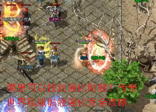 ��������ҵ�ǿ�����ã���������˽������ǿ����ȫ����