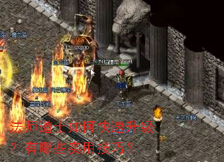 ��ʦ��ʿ��ο�������������Щʵ�ü��ɣ�