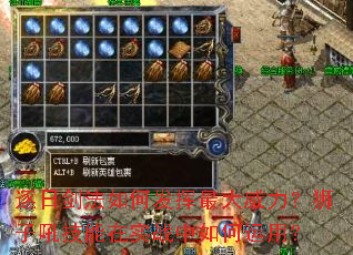 ���ս�����η������������ʨ�Ӻ�����ʵս��������ã�