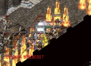 ��ʦ��ε���BOSS��