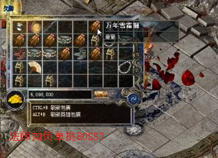 ��ʦ��ε���BOSS��