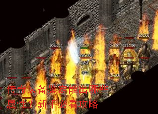 ����װ�������ܳ���Щ���ԣ����ֱؿ�����