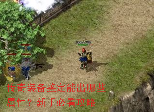 ����װ�������ܳ���Щ���ԣ����ֱؿ�����