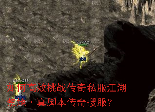 ��θ�Ч��ս����˽���������ء���ű������ѷ���