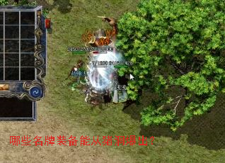 ��Щ����װ���ܴ�����������