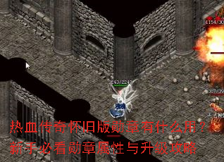 ��Ѫ���滳�ɰ�ѫ����ʲô�ã����ֱؿ�ѫ����������������