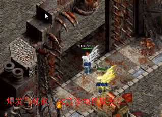 ���������������������ȡ�᣿