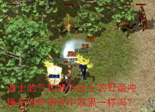 ��ʿ����������սʿ��Ұ����ײ�ڴ�����Ϸ��Ч��һ����