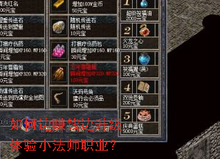 ��α�׬Ǯ����������С��ʦְҵ��