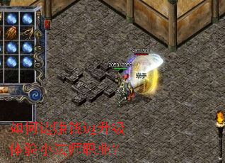 ��α�׬Ǯ����������С��ʦְҵ��