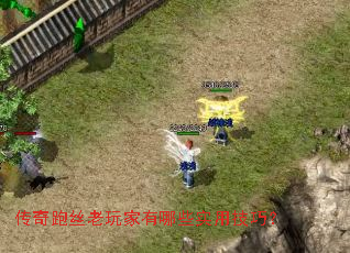 ������˿���������Щʵ�ü��ɣ�