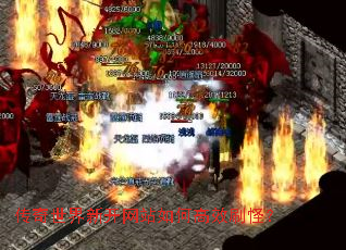 ���������¿���վ��θ�Чˢ�֣�