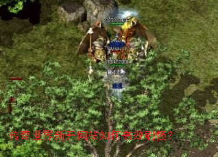 ���������¿���վ��θ�Чˢ�֣�