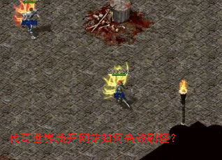 ���������¿���վ��θ�Чˢ�֣�