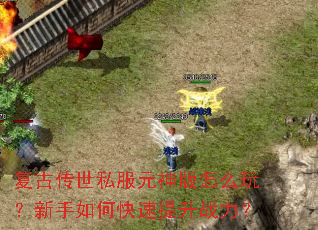 ���Ŵ���˽��Ԫ�����ô�棿������ο�������ս����