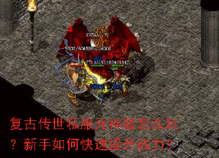 ���Ŵ���˽��Ԫ�����ô�棿������ο�������ս����