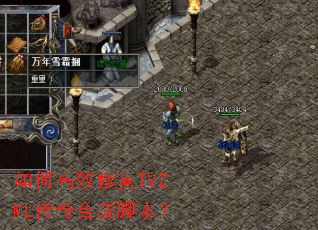 ��θ�Ч�޸�TVZML����ϳɽű���