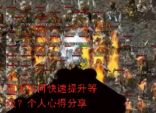 道士如何快速提升等级?个人心得分享 道士如何快速提升等级?个人心得分享