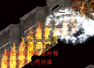 道士如何快速提升等级?个人心得分享 道士如何快速提升等级?个人心得分享