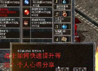 道士如何快速提升等级?个人心得分享 道士如何快速提升等级?个人心得分享