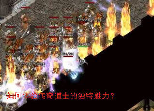 ������鴫���ʿ�Ķ���������