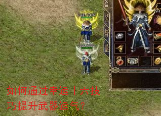 ���ͨ������ʮ��������������������