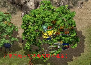 ���������ǰ��Ҫ����Щ׼����