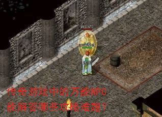 ������Ϸ�е�����NPC�ܽ����Щ�������⣿