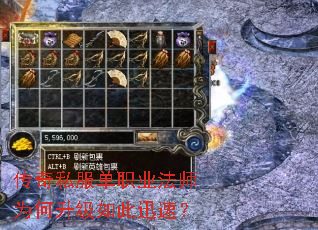 ����˽����ְҵ��ʦΪ���������Ѹ�٣�