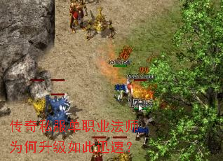 ����˽����ְҵ��ʦΪ���������Ѹ�٣�