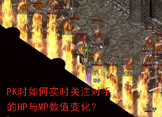 PKʱ���ʵʱ��ע���ֵ�HP��MP��ֵ�仯��