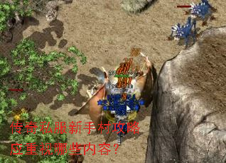 ����˽�����ִ幥��Ӧ������Щ���ݣ�