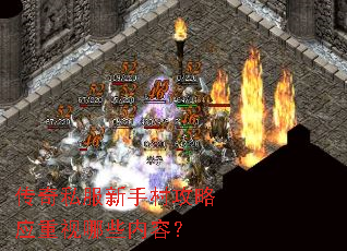 ����˽�����ִ幥��Ӧ������Щ���ݣ�