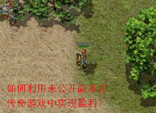 �������δ���������ڴ�����Ϸ��ʵ��ӯ����