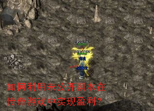 �������δ���������ڴ�����Ϸ��ʵ��ӯ����