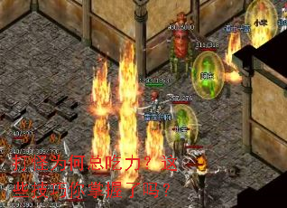 ���Ϊ���ܳ�������Щ��������������