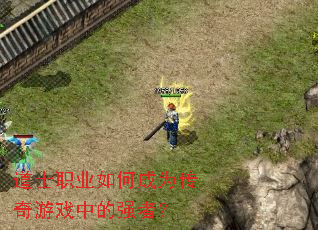 ��ʿְҵ��γ�Ϊ������Ϸ�е�ǿ�ߣ�