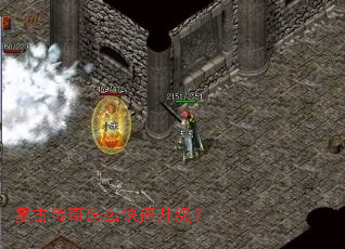 ���Ŵ�����ô����������