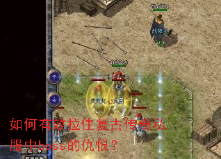 �����Ч��ס���Ŵ���˽����boss�ĳ�ޣ�