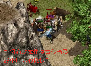 �����Ч��ס���Ŵ���˽����boss�ĳ�ޣ�