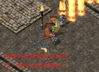 寒锋无亘隐身珠如何获取?属性加成有哪些? 寒锋无亘隐身珠如何获取?属性加成有哪些?