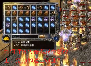 ������۴�����Ϸ�е�սʿ����ʦ�͵�ʿְҵ��